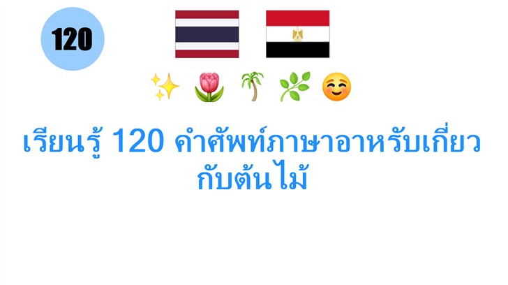 เรียนรู้ 120 คำศัพท์ภาษาอาหรับเกี่ยวกับต้นไม้